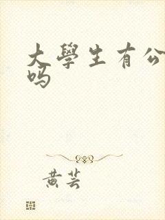 大学生有公交卡吗