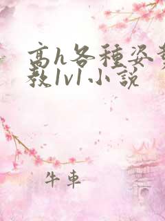 高h各种姿势调教1v1小说