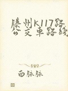 滕州k117路公交车路线时间表