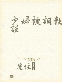 少妇被调教成小说