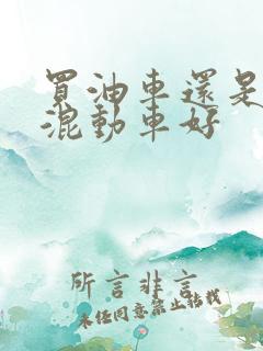 买油车还是插电混动车好