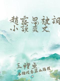 赵露思被调教h小说爽文