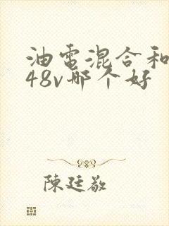 油电混合和轻混48v哪个好