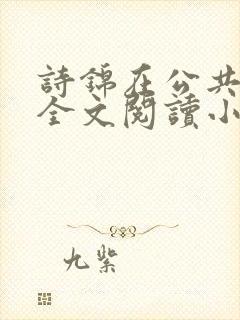 诗锦在公共汽车全文阅读小说