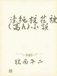 清纯校花被调教(高h)小说