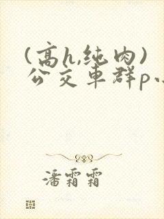 (高h,纯肉)公交车群p小说