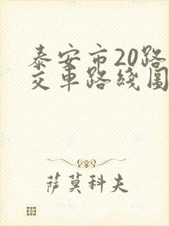 泰安市20路公交车路线图