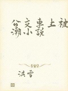 公交车上被摸高潮小说