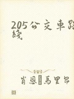 205公交车路线