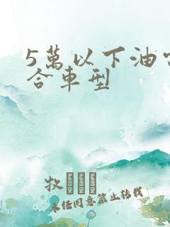 5万以下油电混合车型
