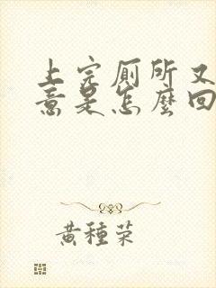 上完厕所又有尿意是怎么回事