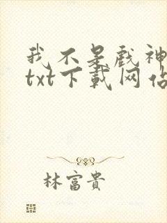 我不是戏神小说txt下载网站