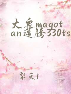 大众magotan迈腾330tsi报价