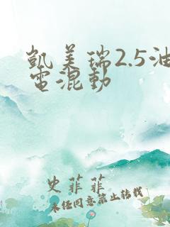 凯美瑞2.5油电混动