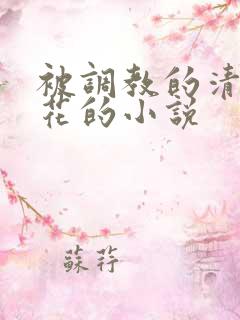 被调教的清纯校花的小说