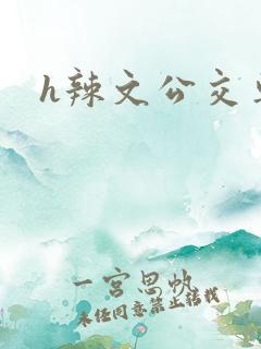 h辣文公交车