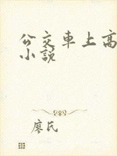 公交车上高潮了小说