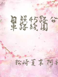 日照45路公交车路线图