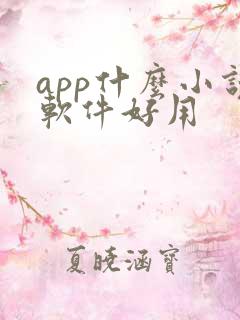 app什么小说软件好用
