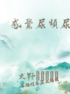 感觉尿频尿不尽