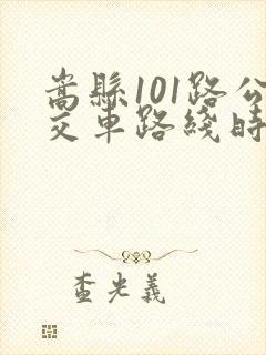 嵩县101路公交车路线时间