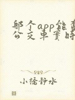 那个app能查公交车实时到站