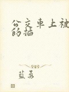 公交车上被巨大的插