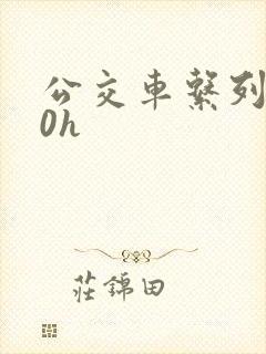公交车系列300h
