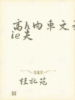 高h肉车文和jie夫