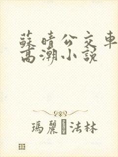 苏晴公交车被弄高潮小说