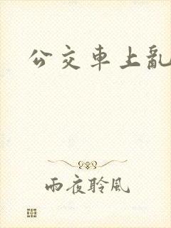 公交车上乱轮