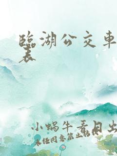 临湖公交车时间表