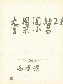 大团圆结2亲情会宋小易