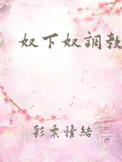 奴下奴调教小说