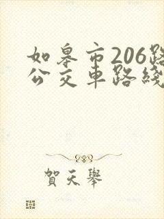 如皋市206路公交车路线