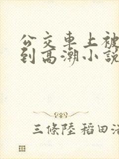 公交车上被人摸到高潮小说