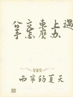 公交车上遇咸猪手怎么办