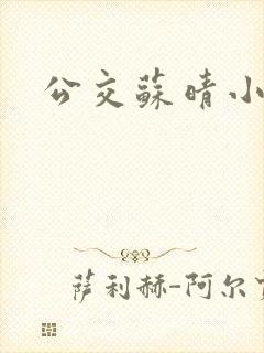 公交苏晴小说