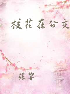 校花在公交车上