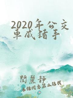 2020年公交车咸猪手