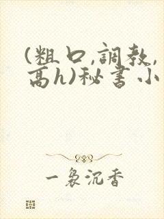 (粗口,调教,高h)秘书小说