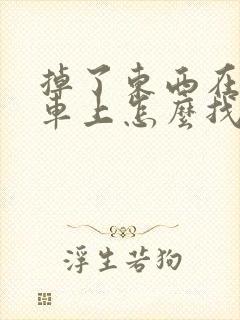 掉了东西在公交车上怎么找回