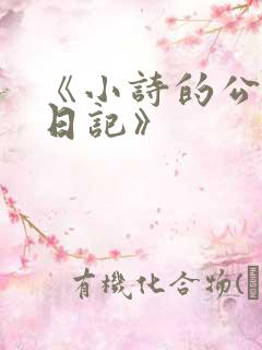 《小诗的公交车日记》
