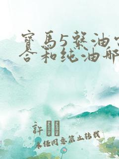 宝马5系油电混合和纯油哪个好
