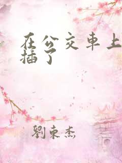 在公交车上被人插了