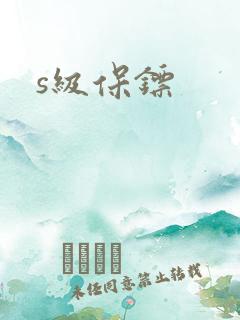 s级保镖