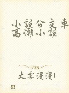 小说公交车被上高潮小说
