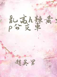 乱高h辣黄文np公交车