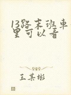 13路末班车哪里可以看