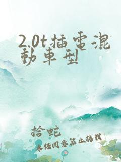 2.0t插电混动车型